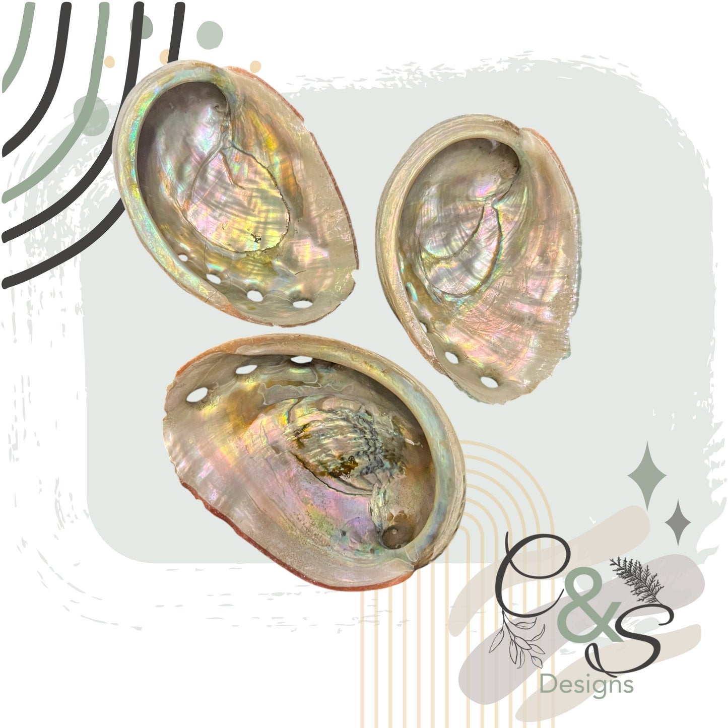 Small Natural Abalone Shell – Smudging Bowl for Cleansing & Rituals