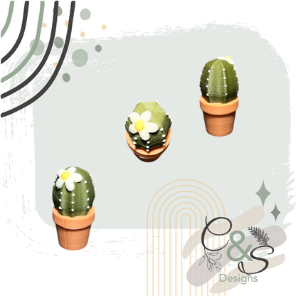 Teeny-Tiny Cactus