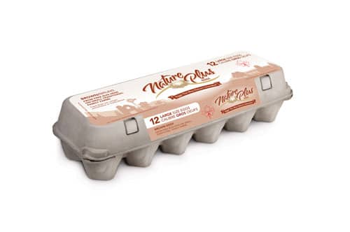 1 Dozen Free Run Brown