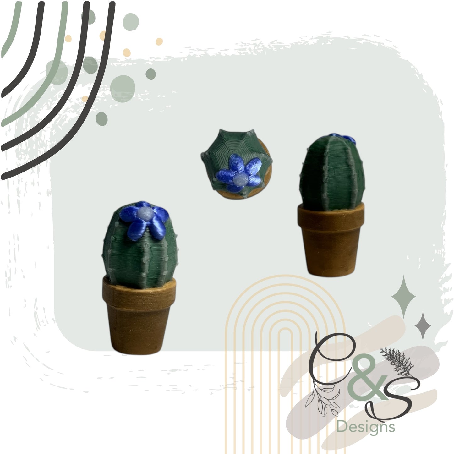 Teeny-Tiny Cactus