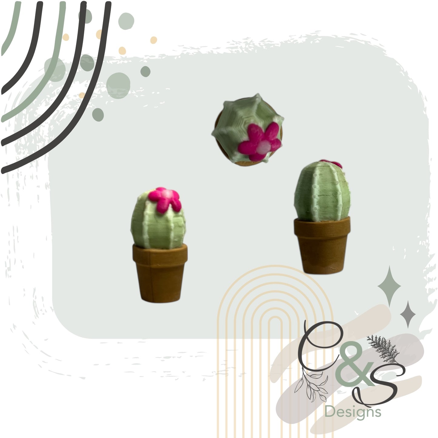 Teeny-Tiny Cactus