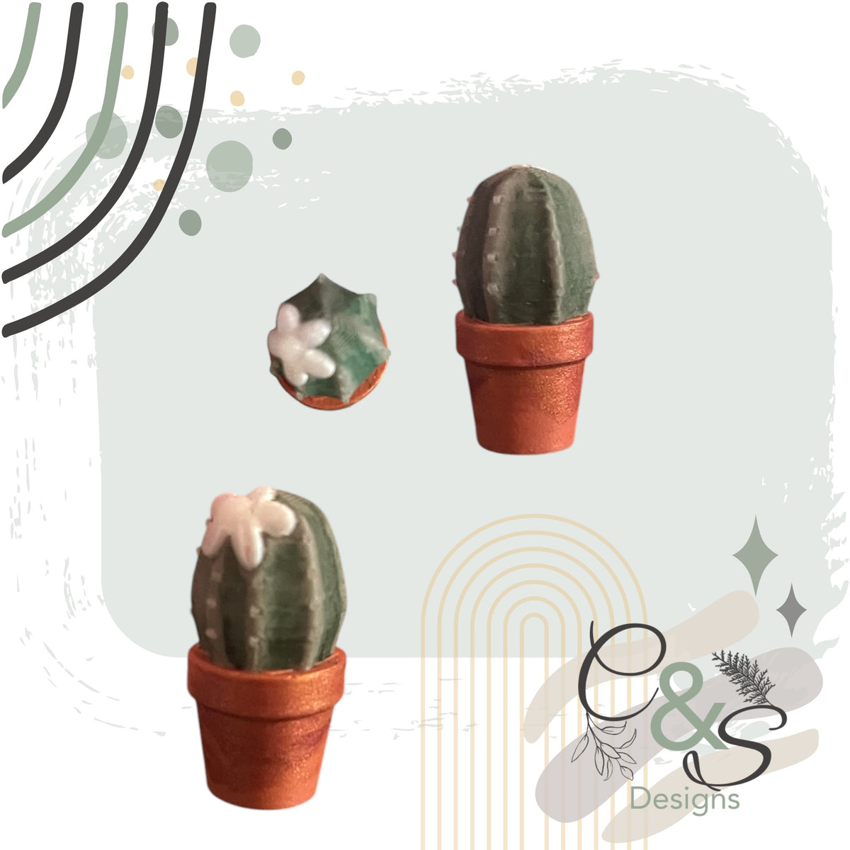 Teeny-Tiny Cactus