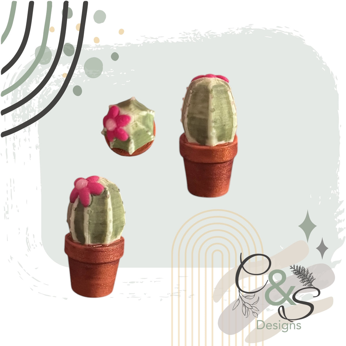 Teeny-Tiny Cactus
