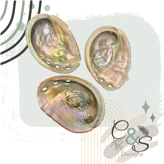 Small Natural Abalone Shell – Smudging Bowl for Cleansing & Rituals