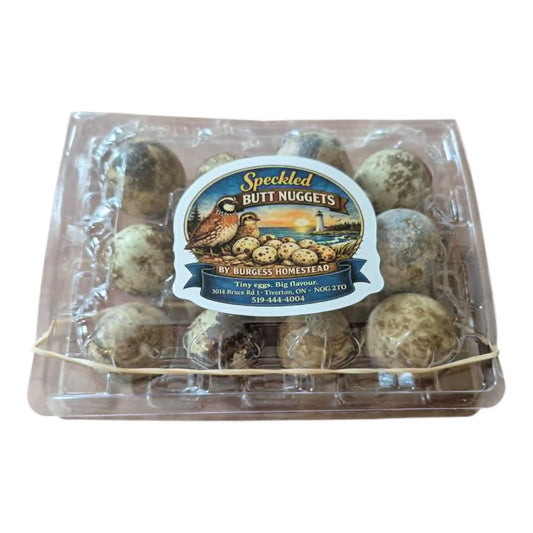 1 Dozen Coturnix Quail Eggs